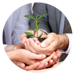 Solutions-Icons-for-Web-140x140-09.png Solutions-Icons-for-Web-140x140-09.png
